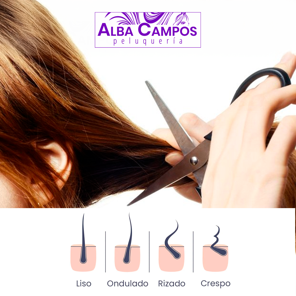 Cuál es el mejor corte según tu tipo de cabello Cuál es el mejor corte según tu tipo de cabello